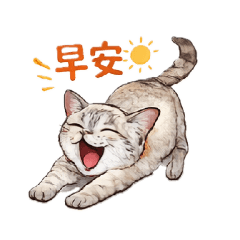 瘋貓的日常生活