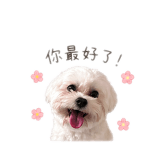 可愛の歐多多❤️