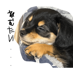 momoka_20260426120029