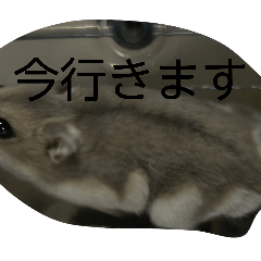 yukina_20260426121915