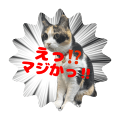 urutea_20260426115701