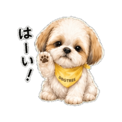 Shih Tzu - Daily Chat Stickers