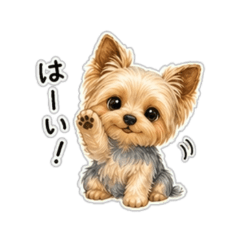 Yorkshire Terrier Daily Chat Stickers