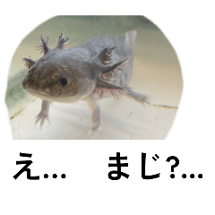 Mrmame555_20260426143101