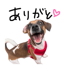 Ryunosuke_20260426143902