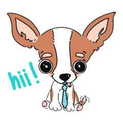 coco+dabby trial