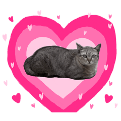 Silver the cat vol.1