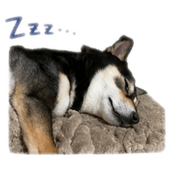 Kohei_20260426183345