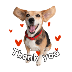 aibon_20260426183122