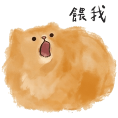 一團貓貓 ♡ 實用療癒日常 台灣版