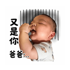 辰睿 厭世爸爸篇