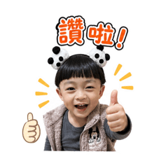 一隻老虎一隻獅子