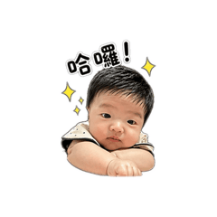 澤澤問候日常