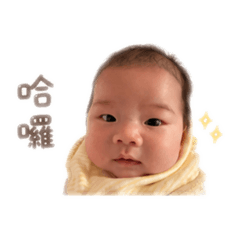 洪豆泥-日常用語