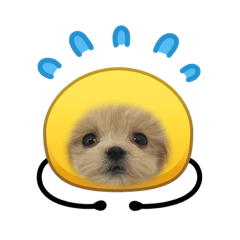 Boo-st your day!!2