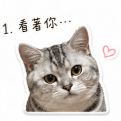 小姆姆ㄉ日常02