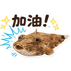 木瓜狗頭日常-厭世又可愛的海底嘴替