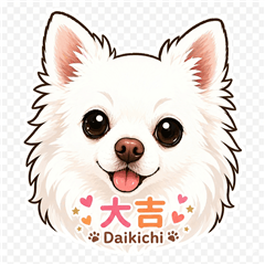 Daily Life with Daikichi the Chihuahua