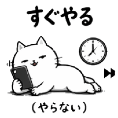 The daily life of a contrary cat.