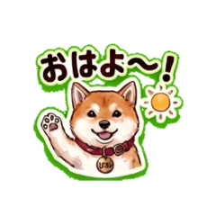 Shiba Inu Dog Hana Polite Daily Stickers