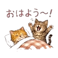 Tabby Cat Duo Everyday Stickers