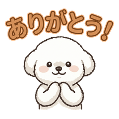 白ふわ子犬おもちのひとこと 2
