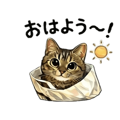 Fluffy Tabby Cat Mood