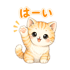 Miraflora_20260424195441