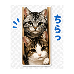 Choro & Sora Cute House Cats Stickers
