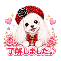 かわいいマルチーズからのご挨拶集