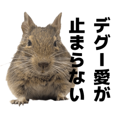 youpan_20260424203111