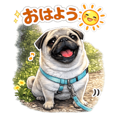 Funny Real Pug Stickers for Chat