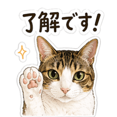 LIFE with PINO: Easy & Cute