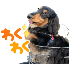 maromaron_20260424220743