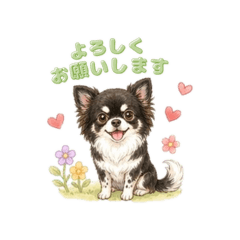 kabuchan_20260424220031