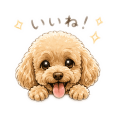 murasaya_20260426132503