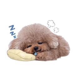 keylove_20260426150437