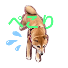 koharu_20260426150151