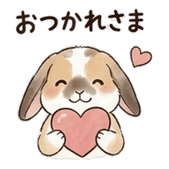 Holland Lop Daily Life FULULU