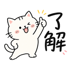 Cute Doodle Cat Stickers