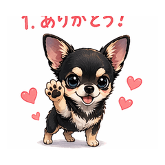 Kuro Chihuahua Daily Stickers