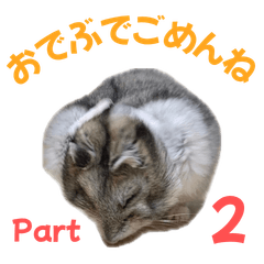 Chubby Hamster Hamukichi 2