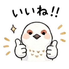 Cute Hiking Bird Stickers