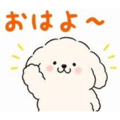 Shuwa Moko Ramune_20260424222840