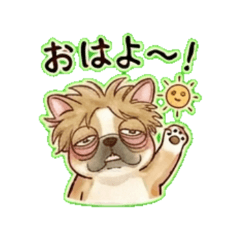 French Bulldog's Squishy Daily Life