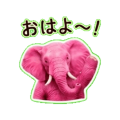 With Ele-san - Daily Chat Stickers