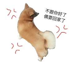 D  a  i  l  y   p  e  t