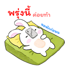 Funny Bunny Lifestyle