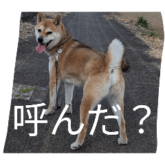 hayato_20260426140528