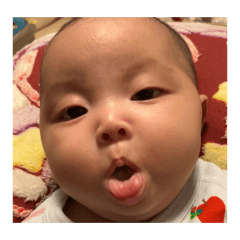 otatsusan_20260426140634